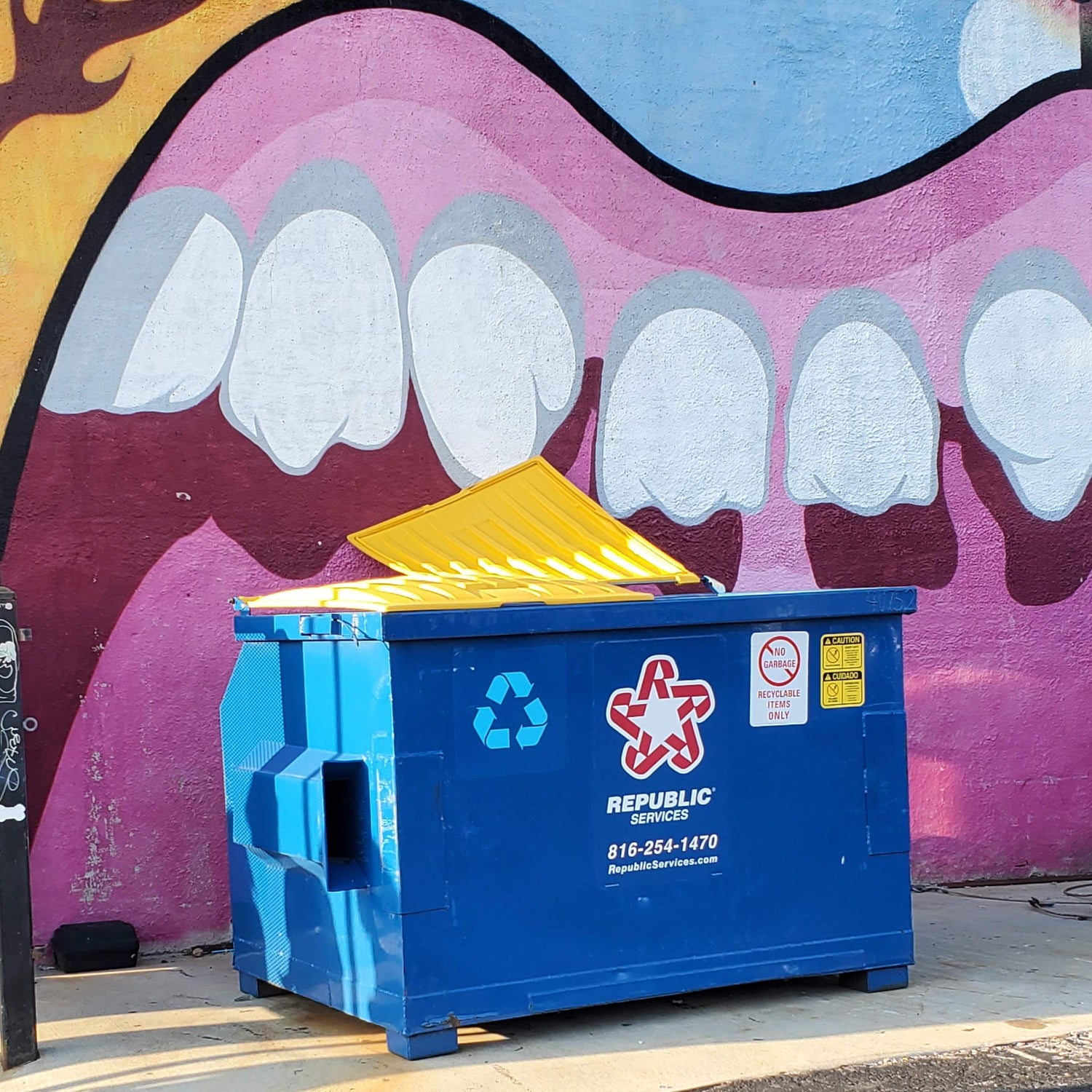 Litterbug