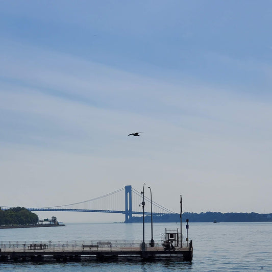 Bridge and Bird
