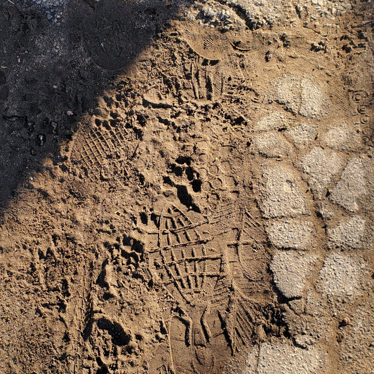 Fleeting Fossils