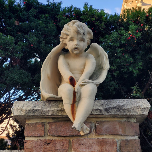 Wounded Stone